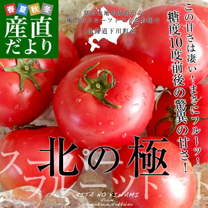 北海道より産地直送 下川町のスーパーフルーツトマト <北の極> 秀品 約800g LからSサイズ(8玉から15玉)送料無料 とまと