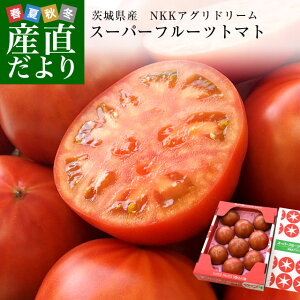 茨城県より産地直送 NKKアグリドリーム スーパーフルーツトマト 9度＋ A品 約900g(8玉から16玉) 送料無料 高糖度トマト NKKトマト