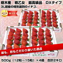 10,000円を⇒3,980円・送料無料!栃木産 栃乙女 特大サイズ 超ボリューム2キロ 特大1キロ(24粒〜30粒)×2箱