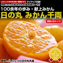 愛媛 JAにしうわ 日の丸みかん 千両(極旨小玉サイズ)5キロ 小玉(60玉〜80玉)【楽ギフ_のし】 - 産直だより