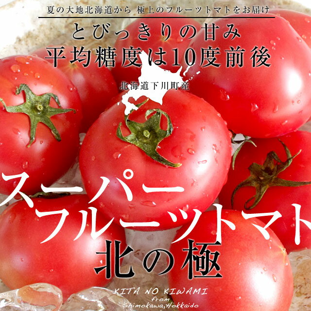 北海道より産地直送　下川町のスーパーフルーツトマト　＜北の極み＞　秀 約800g SからL（8から15玉）