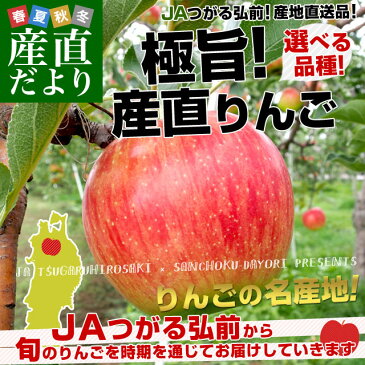 青森県より産地直送 JAつがる弘前 極旨・産直りんご 選べる品種 約3キロ（9玉から13玉) 林檎 送料無料