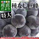 送料無料 山梨県から産地直送 ...