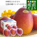 沖縄県より産地直送 JAおきなわ 完熟沖縄マンゴー 秀品 1.5キロ (4玉から5玉入り) 送料無料 まんごー アップルマンゴー お中元