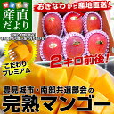 沖縄県より産地直送　JAおきなわ　豊見城市・南部共選　完熟マンゴー　約2キロ（4から6玉入）