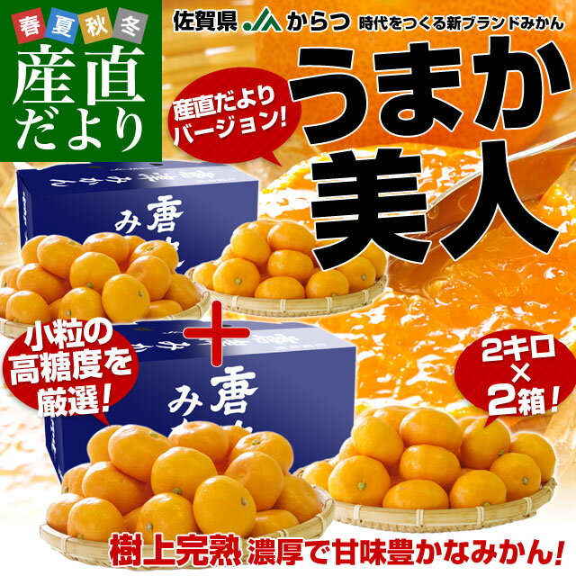 みかん　送料無料　佐賀県より産地直送　JAからつ　小粒うまか美人　高糖度みかん　2Sから3Sサイズ　約2キロ×2箱　 U・M・K美人　蜜柑　温州みかん　ミカン お歳暮 御歳暮