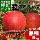 送料無料 岩手県より産地直送 JAいわて中央 皮ごとまるごと...