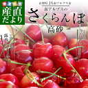 送料無料 山梨県より産地直送 JA南アルプス市 さくらんぼ「高砂(たかさご)」秀品 1キロ