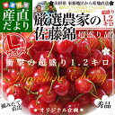 送料無料 山形県より産地直送 ...