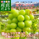 送料無料 山梨県より産地直送 JA南アルプス市 シャインマス...