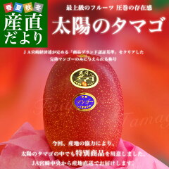 お歳暮に贈るフルーツ