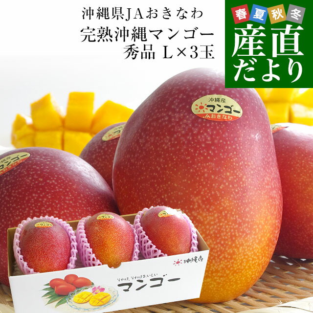 츩껺ľ JAʤ ϲޥ󥴡  L3 900g (300g3) ̵ ޤ󤴡 åץ...