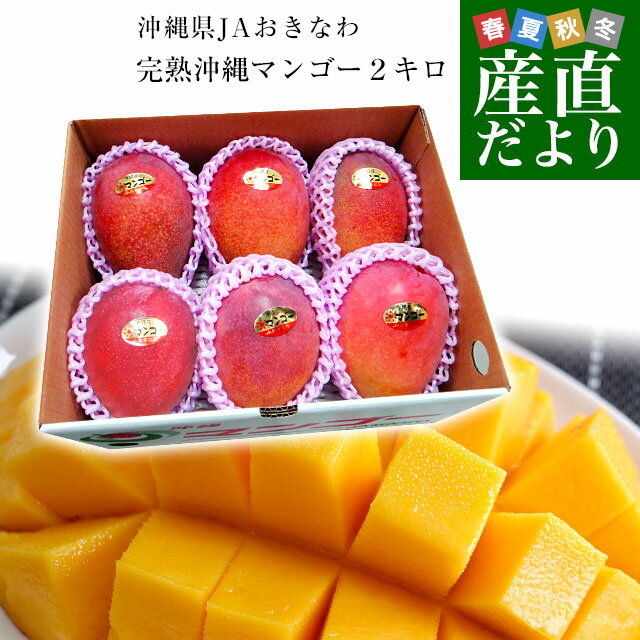 沖縄県より産地直送 JAおきなわ 完熟沖縄マンゴー 約2キロ (4玉から7玉入) 送料無料 まんごー アップルマンゴー ギフト 夏ギフト お中元 御中元
