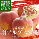 送料無料 山梨県より産地直送 JA南アルプス市 南アルプスの...