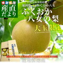 福岡県より産地直送 JAふくおか八女 大玉限定 ふくおか八...
