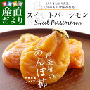 送料無料 島根県より産地直送 JAしまね 西条柿のあんぽ柿 「スイートパーシモン」 2LからLサイズ 約400g化粧箱 (8玉から10玉) 干し柿 ほしがき アンポ