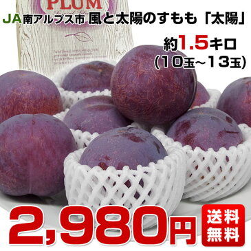 送料無料　山梨県より産地直送 JA南アルプス市　風と太陽のすもも「太陽」約1.5キロ（10玉から13玉）プラム　ぷらむ　李　スモモ