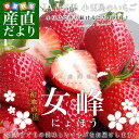 送料無料 JA香川県より産地直送 女峰いちご DXタイプ 5...