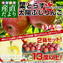 送料無料 青森県より産地直送 JAつがる弘前 葉とらず太陽ふ...