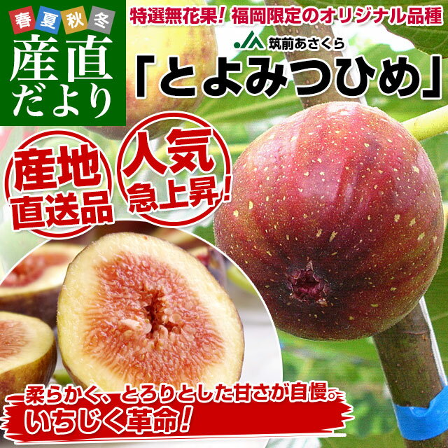 魅惑ある謎めいたフルーツ イチジク おすすめ5品種と食べ方 魅惑ある謎めいたフルーツ イチジク おすすめ5品種と食べ方