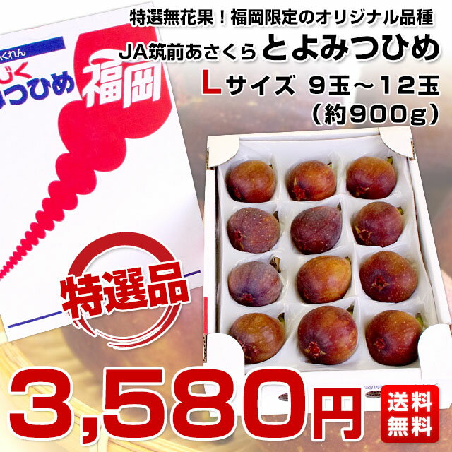 魅惑ある謎めいたフルーツ イチジク おすすめ5品種と食べ方 魅惑ある謎めいたフルーツ イチジク おすすめ5品種と食べ方