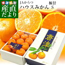送料無料 佐賀県より産地直送 JAからつ ハウスみかん 化粧...