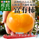 送料無料 山梨県より産地直送 JAふえふき 石和支所 第二共...