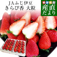 静岡県より産地直送 JA伊豆の国 プレミアムいちご きらぴ香 超大粒タイプ 約900g(9粒から15粒入り×2P) 送料無料 苺 いちご イチゴ