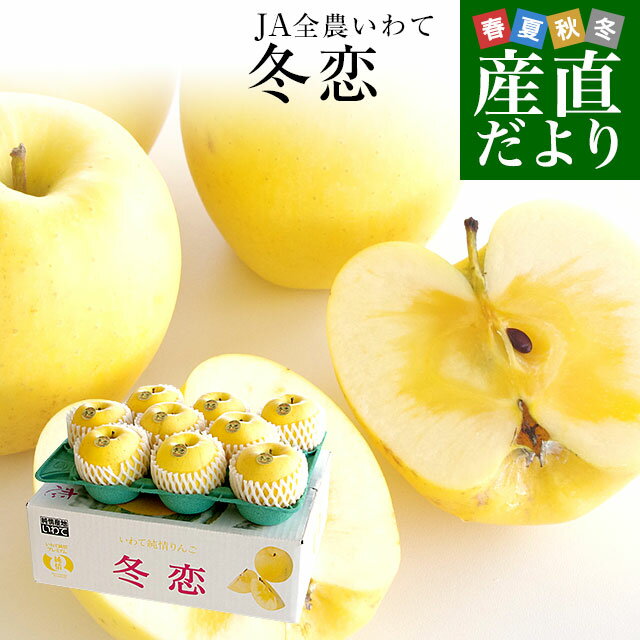 岩手県より産地直送 JA全農いわて いわて純情りんご 冬恋（品種：はるか） 約2.5キロ (7から10玉) 送料無料 林檎 りんご リンゴのサムネイル