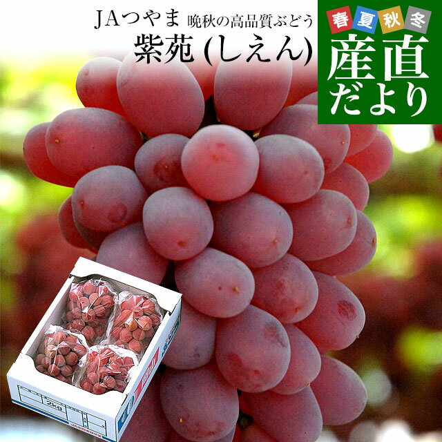 岡山県より産地直送 JA晴れの国岡山津山支所 紫苑(しえん) 秀品 2キロ(3房から5房) 送料無料 葡萄 ぶどう ブドウ