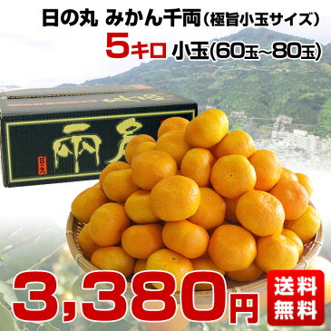 愛媛県より産地直送 JAにしうわ 日の丸みかん 千両 極旨小玉サイズ 5キロ（60玉から80玉） 蜜柑 ミカン 送料無料