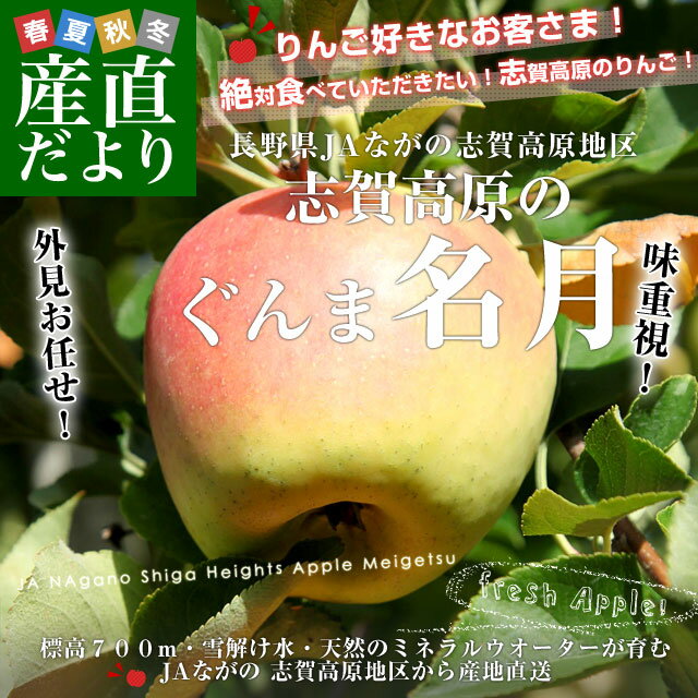 長野県より産地直送 JAながの 志賀高原のぐんま名月 ご家庭用約5キロ (10玉から14玉) 送料無料 林檎 りんご リンゴ めいげつ