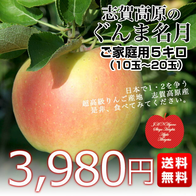 長野県より産地直送 JAながの 志賀高原のぐんま名月 ご家庭用約5キロ (10玉から14玉) 送料無料 林檎 りんご リンゴ めいげつ