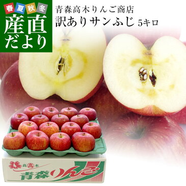 青森県より産地直送 高木商店 マルタカブランド 高木のサンふじ 味優先の理由あり 5キロ (16玉から20玉入) 送料無料 林檎 リンゴ 津軽 弘前