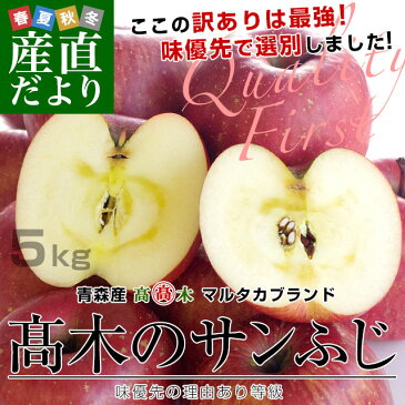 青森県より産地直送 高木商店 マルタカブランド 高木のサンふじ 味優先の理由あり 5キロ (16玉から20玉入) 送料無料 林檎 リンゴ 津軽 弘前