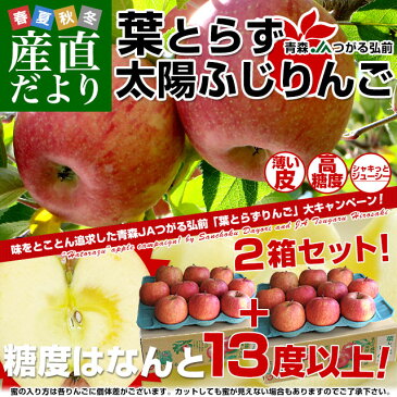 青森県より産地直送 JAつがる弘前 葉とらず太陽ふじりんご 糖度13度以上 約3キロ×2箱(9玉から13玉×2箱) 送料無料 林檎 サンフジ 津軽