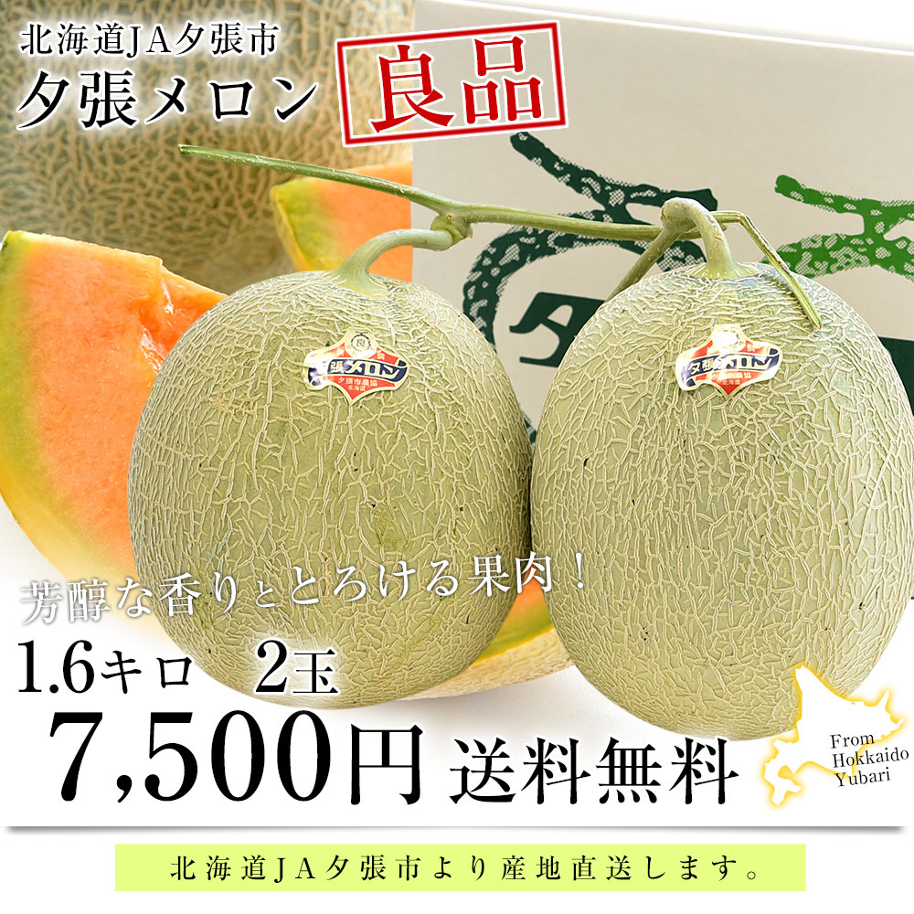 北海道より産地直送 JA夕張市 夕張メロン 良品 2玉(1.6キロ×2玉) 送料無料ゆうばり 夕張キング めろん