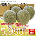 熊本県産 JAやつしろ他 肥後グリーンメロン 優品以上 超盛り 8キロ (約2キロ×4玉) めろん 市場スポット 送料無料 3