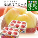 福島県より産地直送 JAふくしま未来 秀品桃 ミスピーチ 約2キロ×2箱セット (5玉から9玉×2箱) 送料無料 もも 桃 ギフト 夏ギフト お中元 御中元