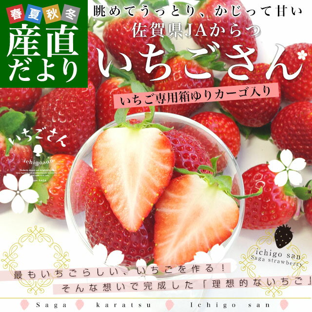 佐賀県より産地直送 JAからつ 新品種いちご いちごさん DX　450g 15粒から18粒 苺専用箱ゆりカーゴ入り 送料無料 イチゴサン イチゴさん いちごサン 唐津 うまかもん from九州