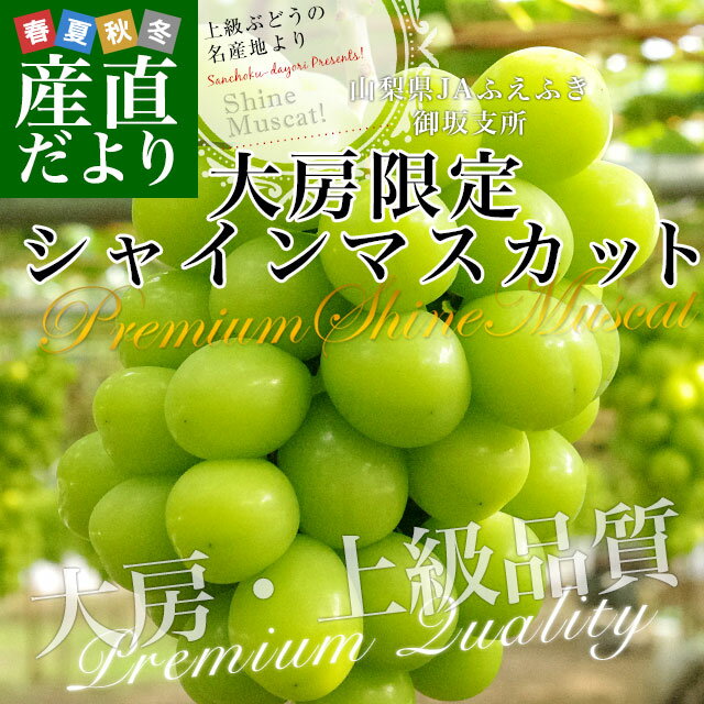 山梨県産　JAふえふき　御坂支所　シャインマスカット　大房限定　青秀品　約1.8キロ（3房入り）送料無料　クール便発送 葡萄 ぶどう 2