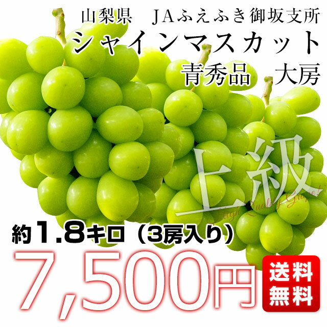 山梨県産　JAふえふき　御坂支所　シャインマスカット　大房限定　青秀品　約1.8キロ（3房入り）送料無料　クール便発送 葡萄 ぶどう 3