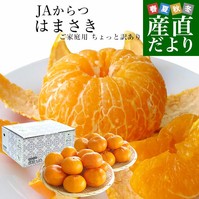 佐賀県産 JAからつ はまさき ご家庭用 ちょっと訳あり 2LからSサイズ 約2.5キロ (10玉から18玉前後) 送料無料 唐津 浜崎のサムネイル