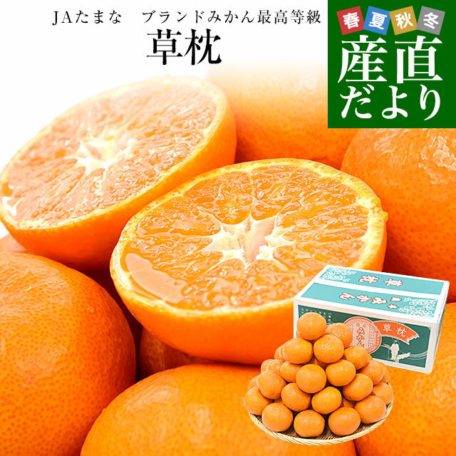 熊本県 JAたまな ブランドみかん 最高等級：草枕 約4キロ MからSサイズ 送料無料 みかん 蜜柑 市場発送のサムネイル
