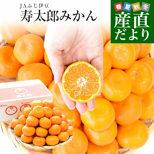 静岡県産 JAふじ伊豆 西浦柑橘出荷部会 寿太郎みかん 約2.5キロ LからSサイズ（20玉から32玉前後） みかん ミカン 市場発送のサムネイル