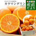 和歌山県 JAありだAQ選果場 カラマンダリン ご家庭用 約2.5キロ 2LからMサイズ (15玉から23玉前後) 送料無料 柑橘 みかん