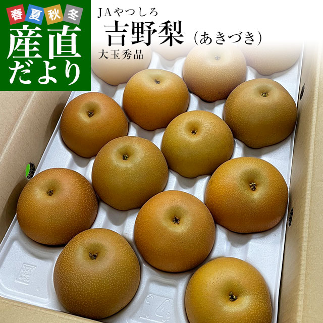 熊本県産　JAやつしろ　吉野梨（あきづき）大玉秀品5キロ（10玉から16玉）なし　ナシ　送料無料　市場発送のサムネイル