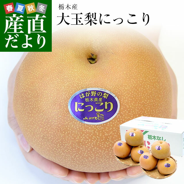栃木県産 大玉梨　にっこり 約5キロ (7玉から8玉) 優品以上　送料無料 なし 梨 ナシ 市場発送のサムネイル