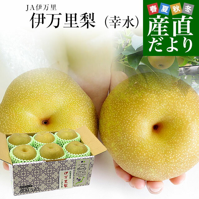 佐賀県産　JA伊万里　伊万里梨（幸水）約1.8キロ（6玉）送料無料　梨　なし　和なし　御中元　お中元　市場発送のサムネイル
