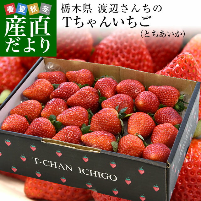 栃木県より産地直送 渡辺さんちのTちゃんいちご(とちあいか) 600g （Lから特大:不揃い） 苺 いちご イチゴ ストロベリー 送料無料 クール便発送のサムネイル